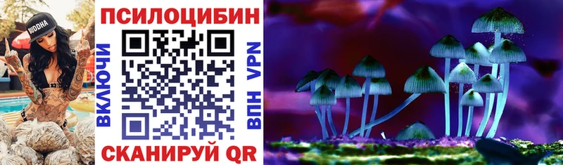 Купить  Каневская  Галлюциногенные грибы Magic Shrooms 